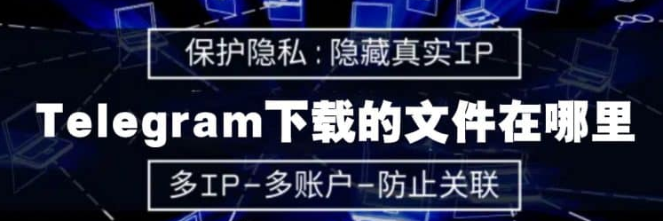 Telegram下载的文件在哪里