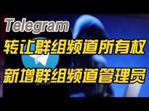 telegram群聊的群主怎么转让给别人